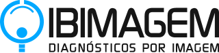 ibimagemlogo